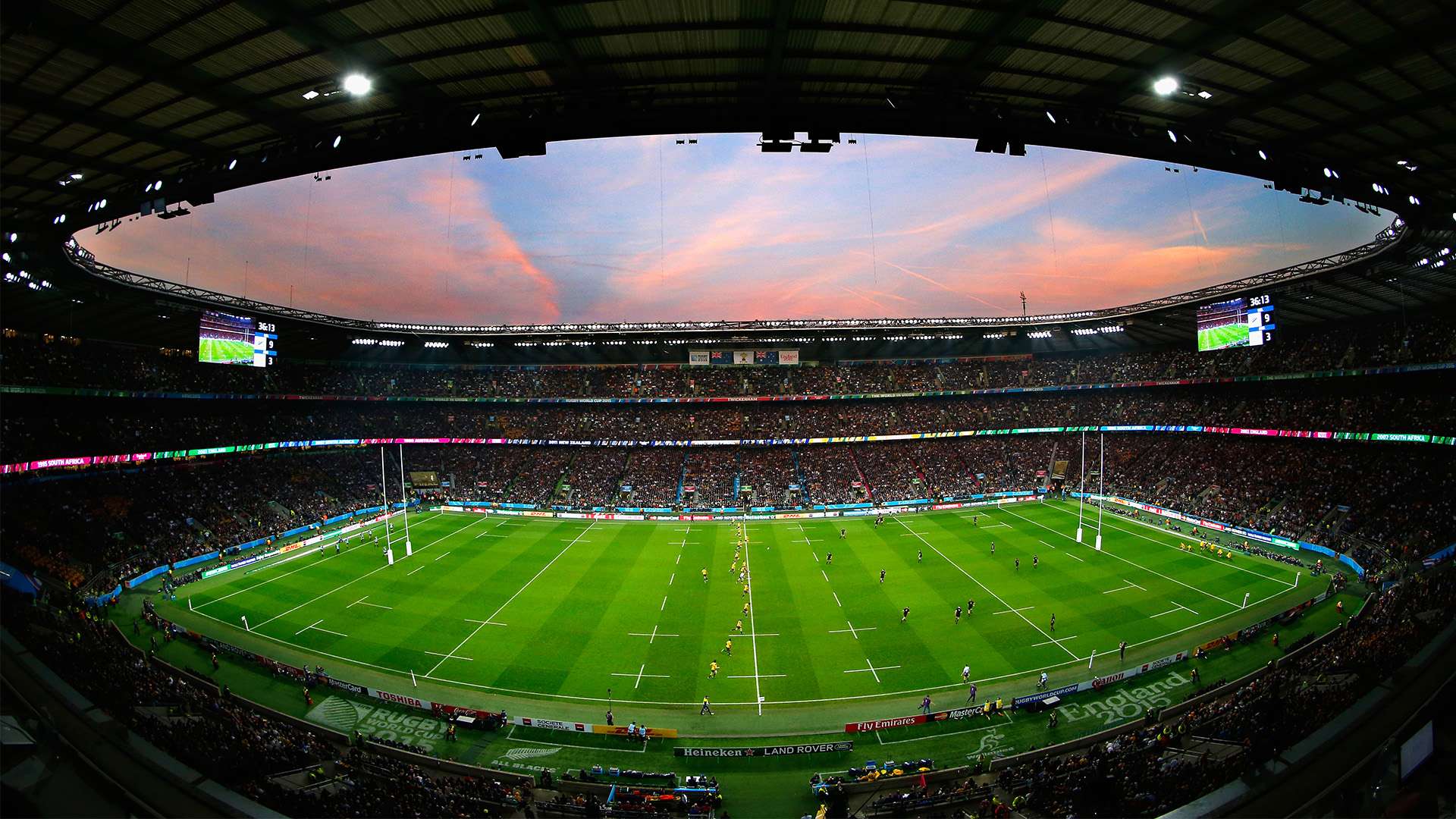 的职业道路 的职业道路